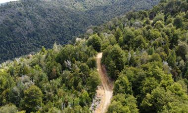 Campo en venta en Purranque de 345 hectáreas, Hueyusca, Región de Los Lagos