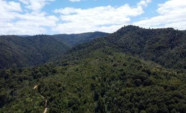 Campo en venta en Purranque de 345 hectáreas, Hueyusca, Región de Los Lagos