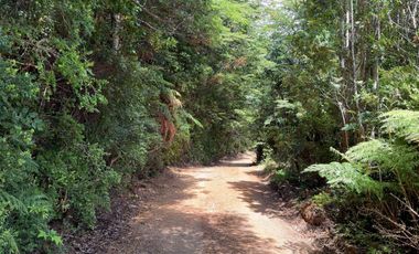 Campo en venta en Purranque de 345 hectáreas, Hueyusca, Región de Los Lagos