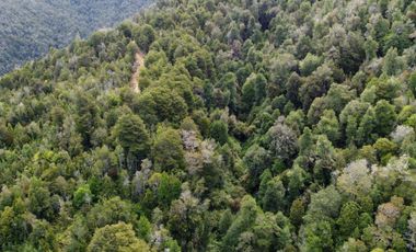 Campo en venta en Purranque de 345 hectáreas, Hueyusca, Región de Los Lagos
