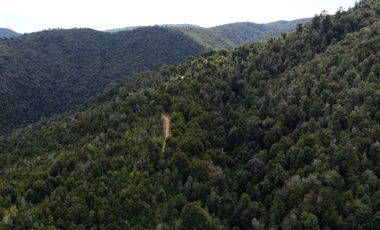 Campo en venta en Purranque de 345 hectáreas, Hueyusca, Región de Los Lagos