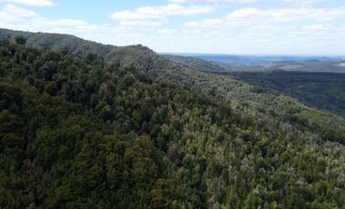 Campo en venta en Purranque de 345 hectáreas, Hueyusca, Región de Los Lagos