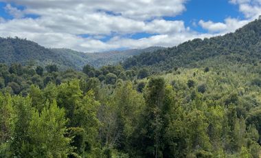 Campo en venta en Purranque de 345 hectáreas, Hueyusca, Región de Los Lagos