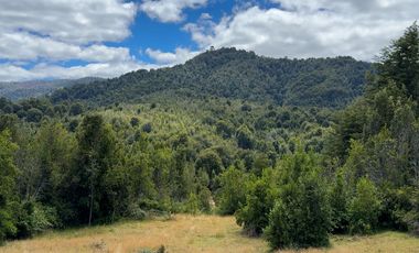 Campo en venta en Purranque de 345 hectáreas, Hueyusca, Región de Los Lagos