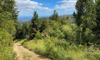 Campo en venta en Purranque de 345 hectáreas, Hueyusca, Región de Los Lagos