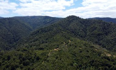 Campo en venta en Purranque de 345 hectáreas, Hueyusca, Región de Los Lagos