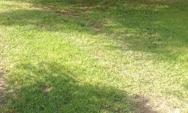 Terreno de 980 mts2 con casa y local comercial EN VENTA - MELIPILLA