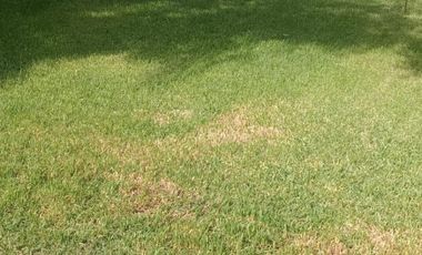 Terreno de 980 mts2 con casa y local comercial EN VENTA - MELIPILLA