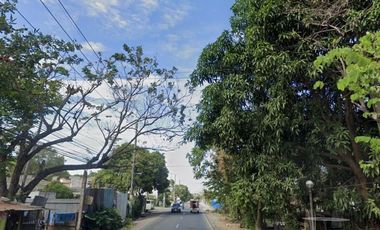 Lot for rent in Paliparan Road, Pintong Gubat, Paliparan 3, Paliparan, Dasmariñas, Cavite