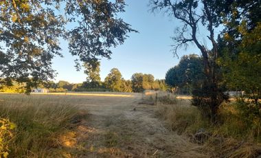 Venta de Parcela, Sector los Copihues Villarrica