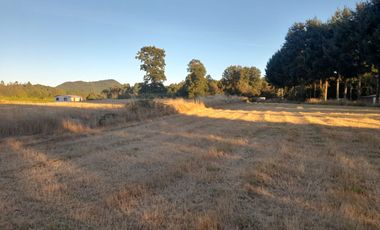 Venta de Parcela, Sector los Copihues Villarrica