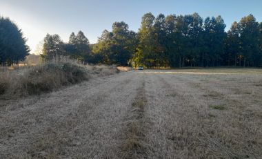 Venta de Parcela, Sector los Copihues Villarrica
