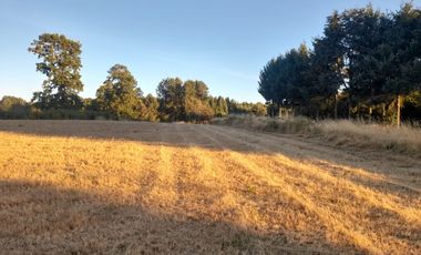 Venta de Parcela, Sector los Copihues Villarrica