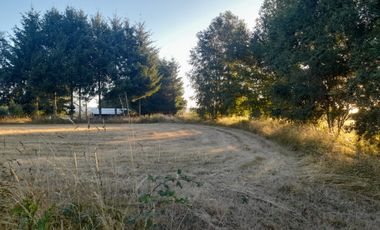 Venta de Parcela, Sector los Copihues Villarrica