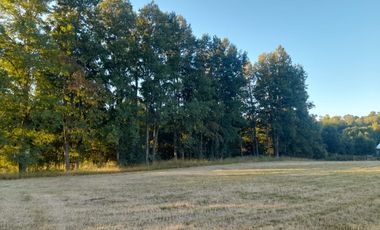 Venta de Parcela, Sector los Copihues Villarrica