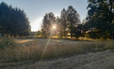 Venta de Parcela, Sector los Copihues Villarrica