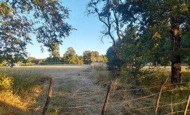 Venta de Parcela, Sector los Copihues Villarrica