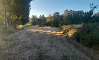 Venta de Parcela, Sector los Copihues Villarrica
