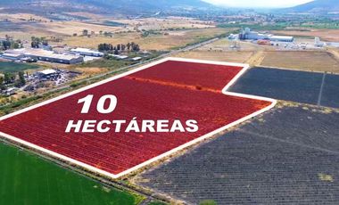 TERRENO INDUSTRIAL DE 10 HECTAREAS EN PONCITLÁN JUNTO A LAS VÍAS DEL TREN