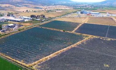 TERRENO INDUSTRIAL DE 10 HECTAREAS EN PONCITLÁN JUNTO A LAS VÍAS DEL TREN