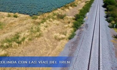 TERRENO INDUSTRIAL DE 10 HECTAREAS EN PONCITLÁN JUNTO A LAS VÍAS DEL TREN