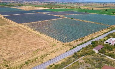 TERRENO INDUSTRIAL DE 10 HECTAREAS EN PONCITLÁN JUNTO A LAS VÍAS DEL TREN