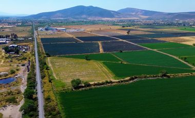 TERRENO INDUSTRIAL DE 10 HECTAREAS EN PONCITLÁN JUNTO A LAS VÍAS DEL TREN