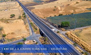 TERRENO INDUSTRIAL DE 10 HECTAREAS EN PONCITLÁN JUNTO A LAS VÍAS DEL TREN