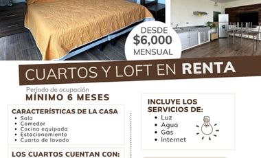 LOFT UNIPEPRSONAL