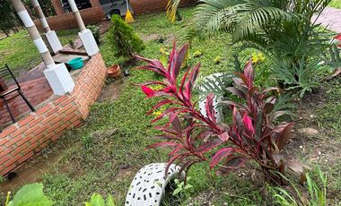 PARCELA CAMPESTRE