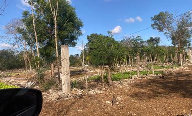 Renta de Excelente Terreno ubicado en Komchén