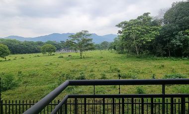 Apartamento en venta Sector Amarilo
