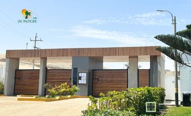 Terreno con Vista Panorámica al Mar en Club Las Palmeras – Cerro Azul | 200 m²