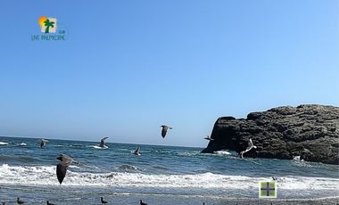 Terreno con Vista Panorámica al Mar en Club Las Palmeras – Cerro Azul | 200 m²