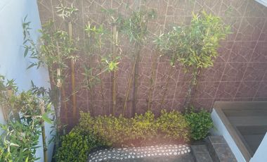 Renta de casa en Paseos del Bosque