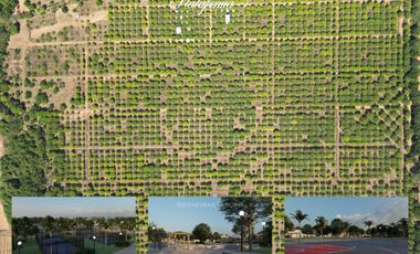 Terrenos en playa plataforma en puerto escondido