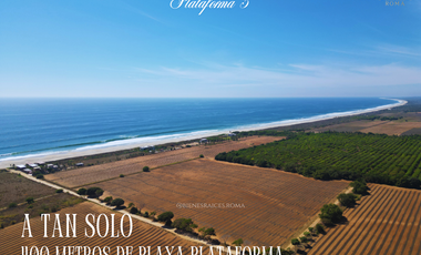 Lotes en playa plataforma en puerto escondido