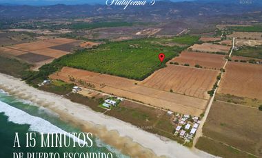 Lotes en playa plataforma en puerto escondido
