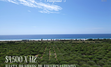 Lotes en playa plataforma en puerto escondido