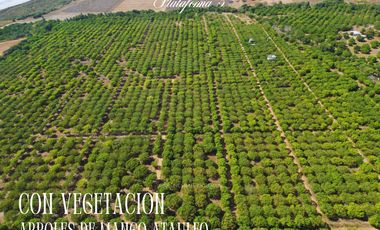Land on the platform beach, in Puerto Escondido