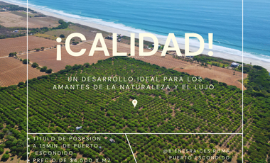 Land near the beach in Puerto Escondido