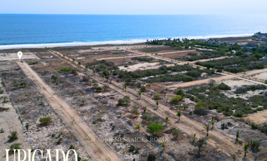 Residential lots on Palmarito Beach, in Puerto Escondido
