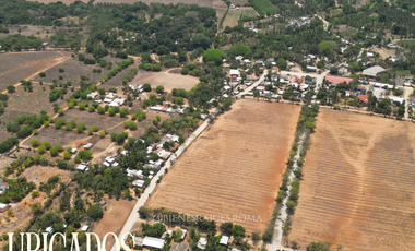 Terrenos en playa tomatal, en puerto escondido