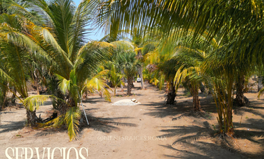 Terrenos en playa tomatal, en puerto escondido