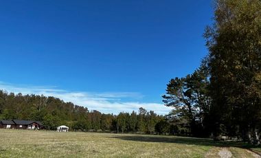 PRECIOSO CAMPO DE 6 HA EN KM 13,5 VILLARICA LONCOCHE,SECTOR LA MEDICA