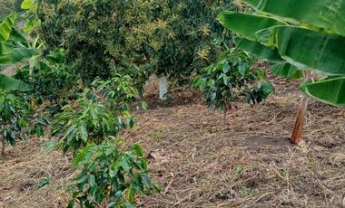 VENTA LOTE AV. TRONCAL DEL OCCIDENTE
