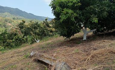 VENTA LOTE AV. TRONCAL DEL OCCIDENTE