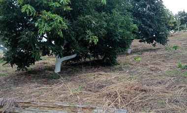 VENTA LOTE AV. TRONCAL DEL OCCIDENTE