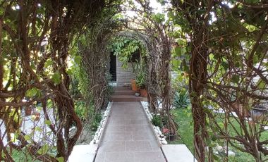 💎 Excelente ubicación y amplitud en Tequisquiapan: ¡Casa de una planta con frutales! 🍋🏠