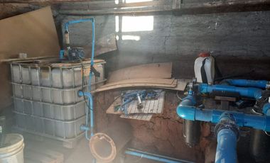 7,11 HA EN ROMERAL HIJUELAS CON PALTOS EN PLENA PRODUCCION
